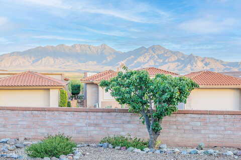 Emelita, GREEN VALLEY, AZ 85622