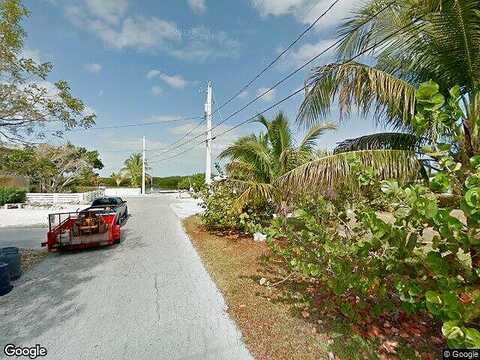 Hawk, BIG PINE KEY, FL 33043