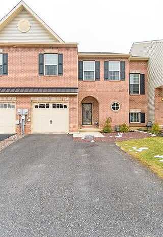 Milkweed, ALLENTOWN, PA 18104