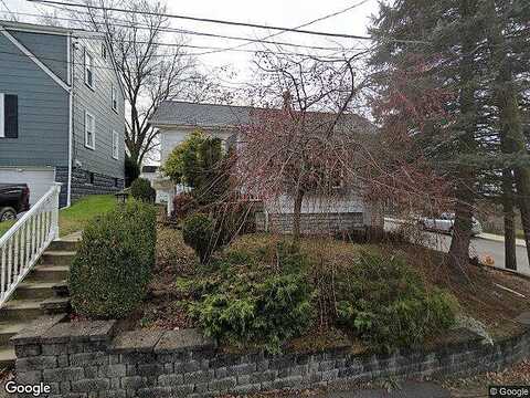 Chestnut, CANONSBURG, PA 15317