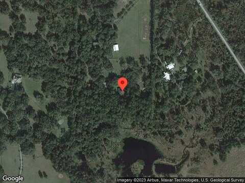 Race Horse, BROOKSVILLE, FL 34604