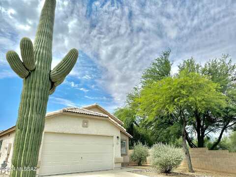Cholla Estate, TUCSON, AZ 85704