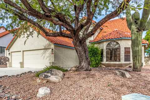 Ashdown, TUCSON, AZ 85737