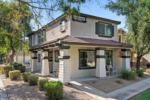 Owl, GILBERT, AZ 85296