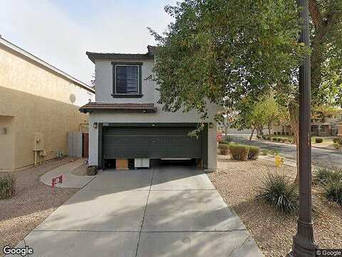Owl, GILBERT, AZ 85296