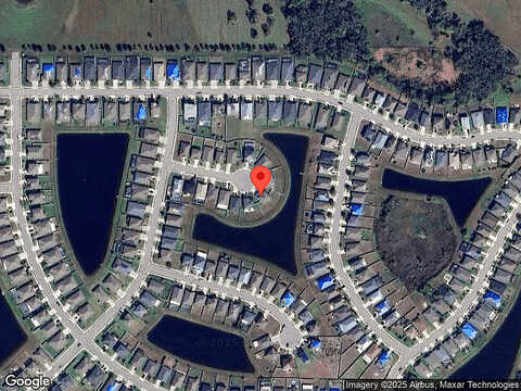 Peaceful Bull, BRADENTON, FL 34212