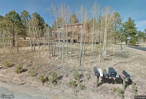 Pine, BAILEY, CO 80421