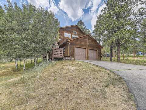 Pine, BAILEY, CO 80421