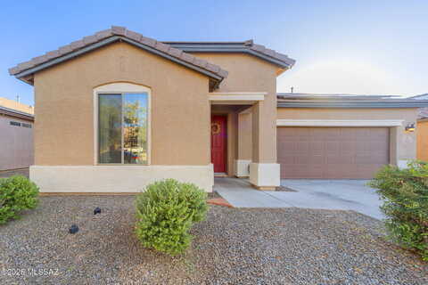 Greenberry, MARANA, AZ 85653