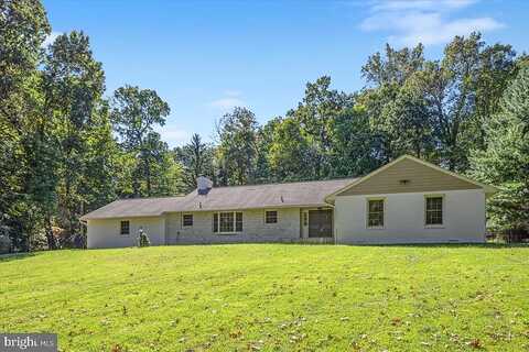 Pine Tree, FAIRFAX, VA 22033