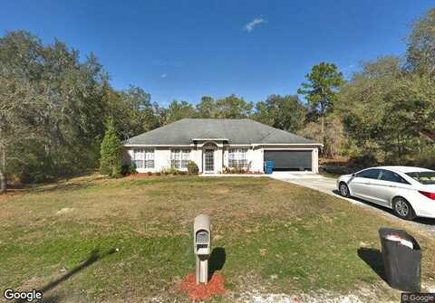 Maybird, WEEKI WACHEE, FL 34613
