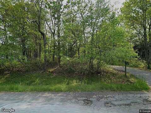 Clover, LONG POND, PA 18334