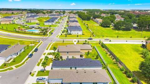 Papaya, DAVENPORT, FL 33897