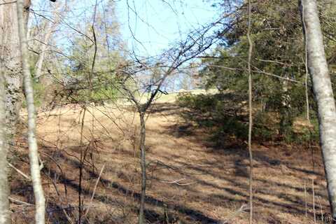 Wagon Trail, MONROE, VA 24574