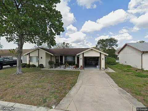 Shenandoah, HUDSON, FL 34667