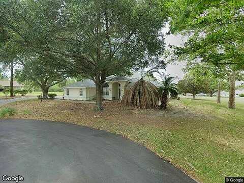 Falconry, HERNANDO, FL 34442