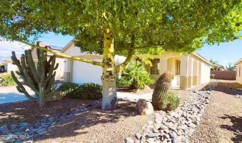 Blue Heron, TUCSON, AZ 85743