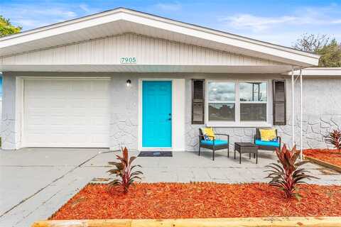 Rottingham, PORT RICHEY, FL 34668