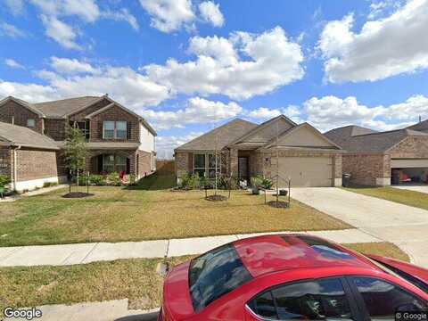 Cypress Shumard Oak, CYPRESS, TX 77433