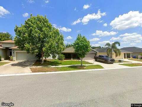 Vineyard Reserve, SEFFNER, FL 33584