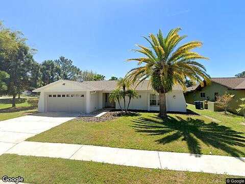 Box Elder, PORT RICHEY, FL 34668