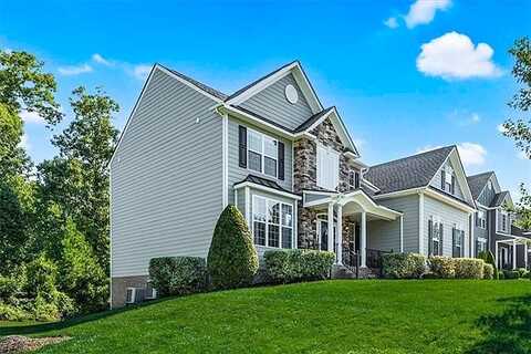 Golden Aster, MOSELEY, VA 23120