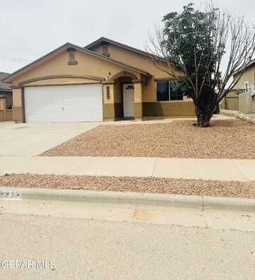 Jericho Tree, EL PASO, TX 79934