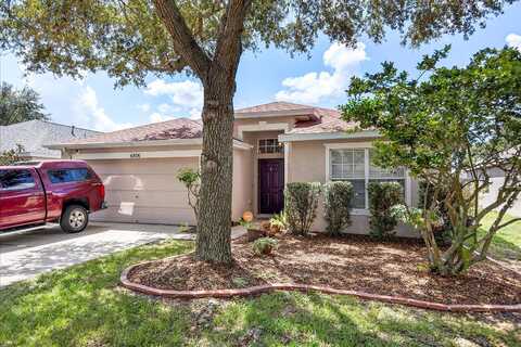Cambridge Park, APOLLO BEACH, FL 33572