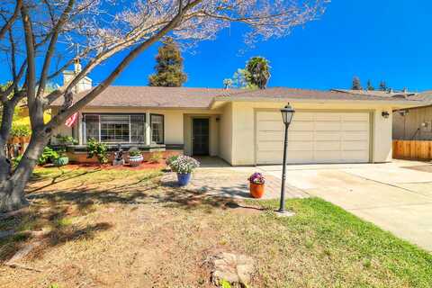 Clearview, HOLLISTER, CA 95023
