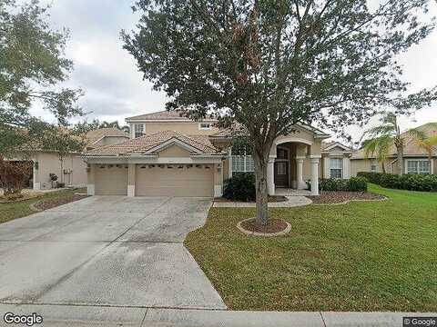 Palomino, BRADENTON, FL 34201