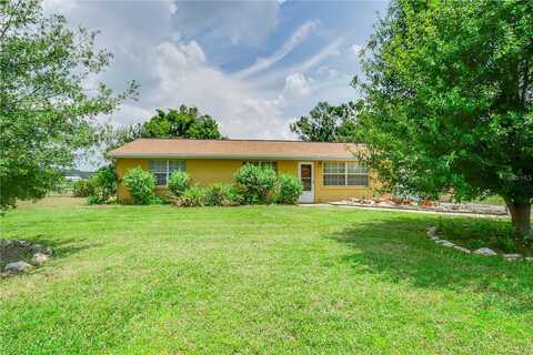 Maple, TAMPA, FL 33610