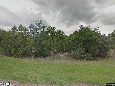 Tortuga, LECANTO, FL 34461