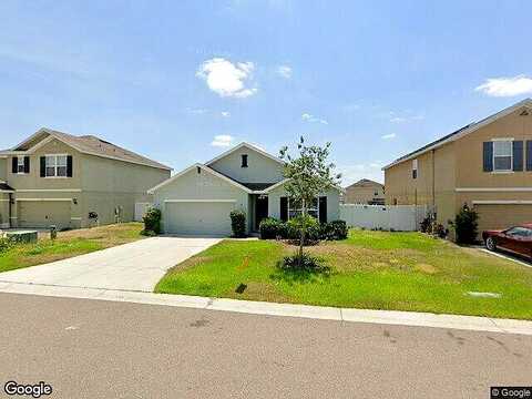 Arbequina, PLANT CITY, FL 33566