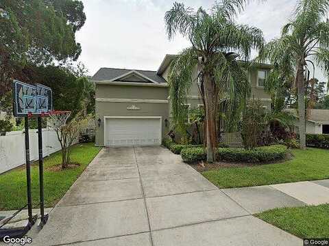 San Miguel, TAMPA, FL 33629