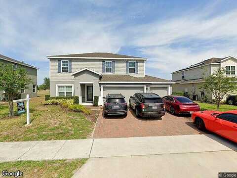 Tigris, APOPKA, FL 32712