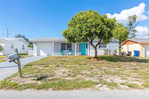 Ridgefield, HOLIDAY, FL 34691