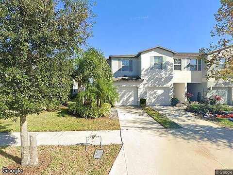Cat Mint, TAMPA, FL 33619