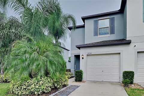 Cat Mint, TAMPA, FL 33619