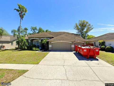 Saddle Ridge, VALRICO, FL 33596