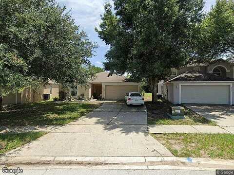 Cinnamon Fern, CLERMONT, FL 34714