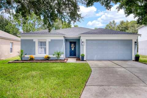 Cinnamon Fern, CLERMONT, FL 34714