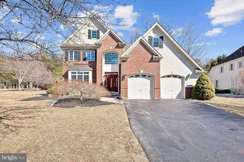 Gentry, AMBLER, PA 19002
