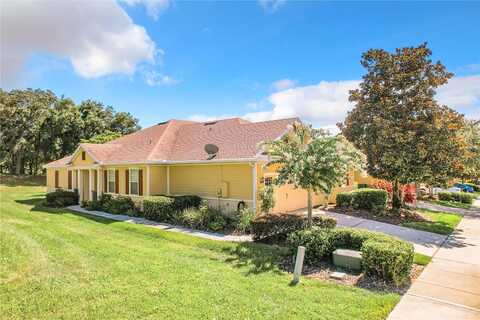 Lipizzan, MOUNT DORA, FL 32757