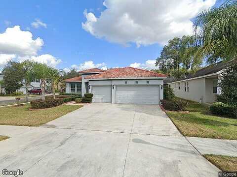 Florida Elm, SEFFNER, FL 33584
