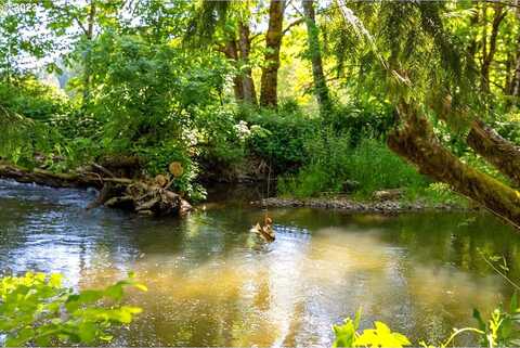 Meacham, NORTH PLAINS, OR 97133