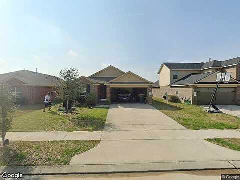 Umbrella Pine, TOMBALL, TX 77375