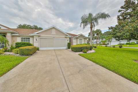 Olive Branch, SUN CITY CENTER, FL 33573