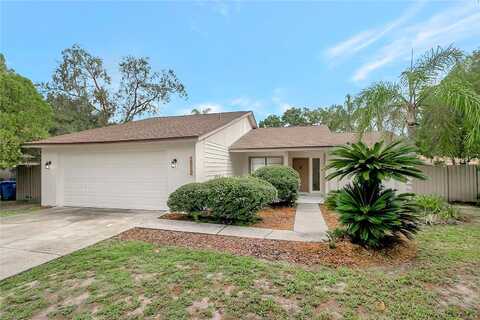 Southern Lites, LUTZ, FL 33549