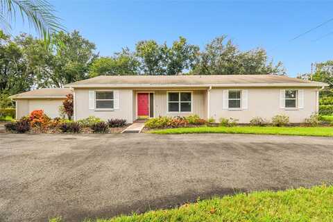 Jerri Lynn, PLANT CITY, FL 33567