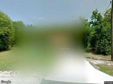 Shellbark, CITRUS SPRINGS, FL 34434